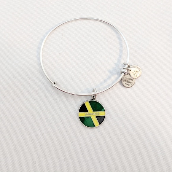 Alex and Ani Silver Jamaica Charm Bracelet - Picture 4 of 7